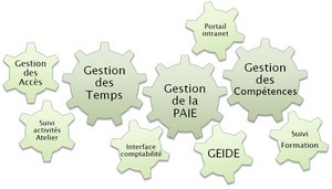 Compétences : Gestion des temps, de la paie et des compétences, entre autre